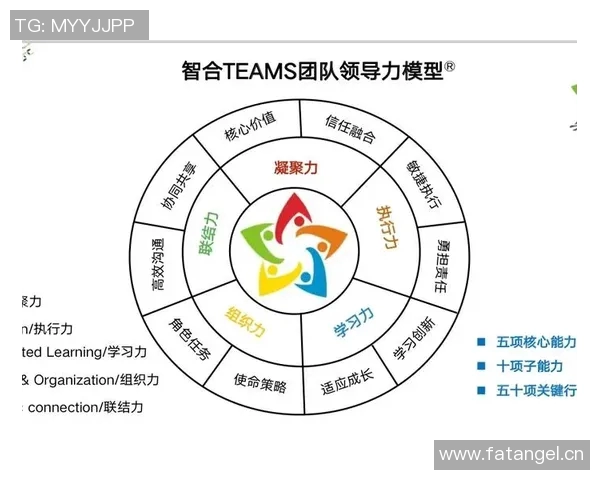 以团队协作为核心推动力实现创新与高效工作的战略路径分析